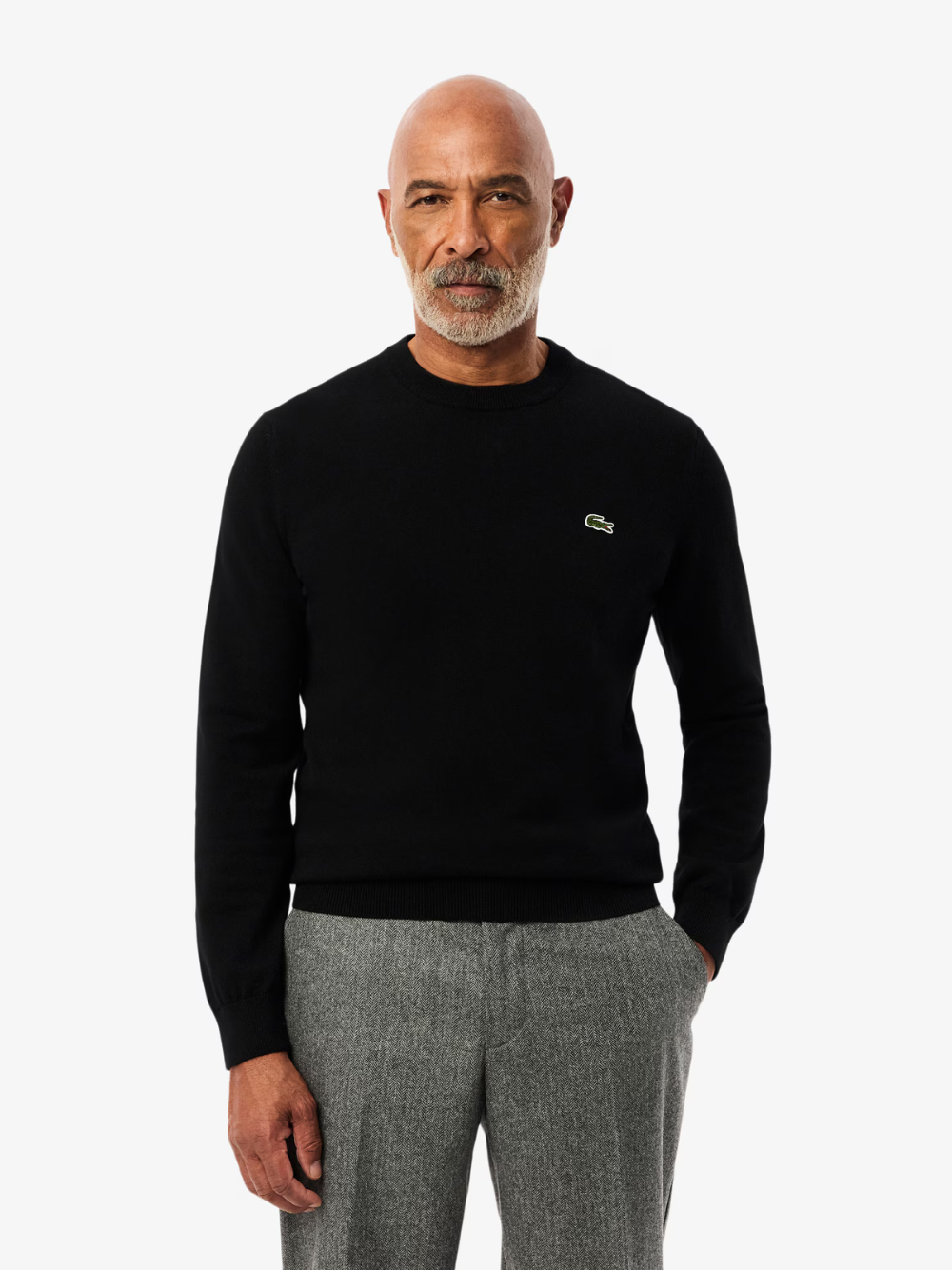 LACOSTE black crew neck cotton sweater back view showing clean monochrome design and premium fabric construction