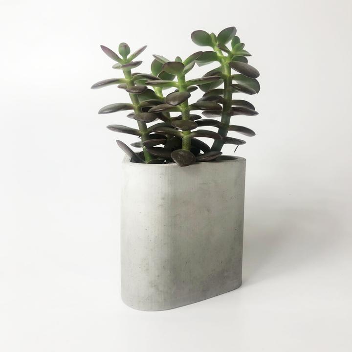 Angular Concrete Plant Pot - MAISONDEFASHION.COM